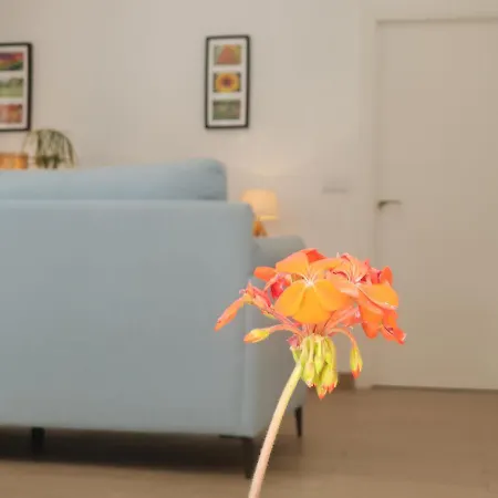 Apartamento Tu Mejor Recuerdo, Apartamento. *